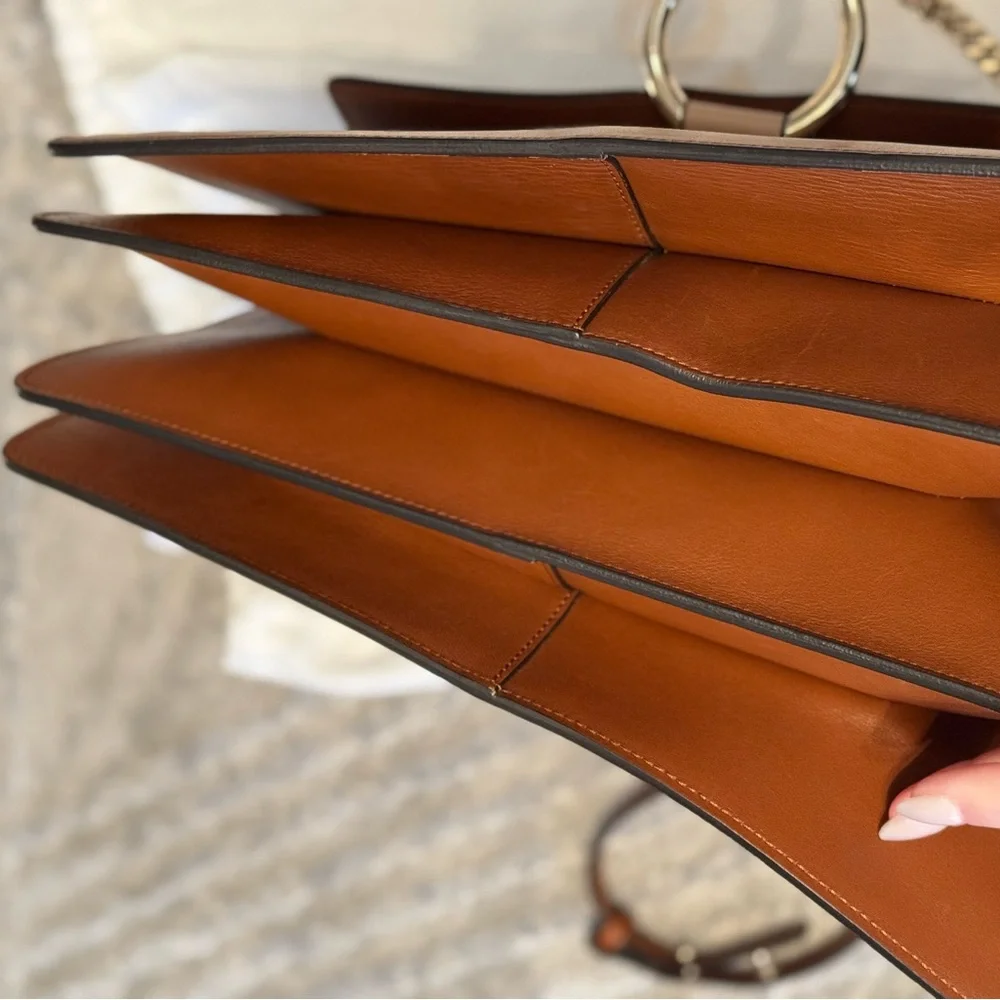 RARE Colorway Chloe Faye Patchwork Calfskin Bag - Picture 8 of 11